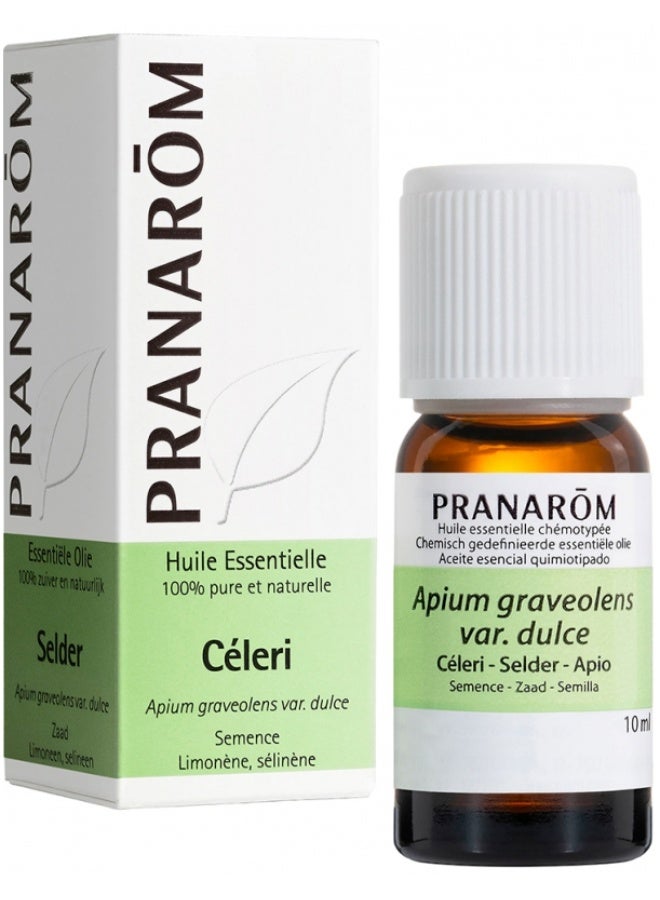 PRANAROM Pranarôm Essential Oil Celery (Apium graveolens var. dulce) 10 ml - Image 1